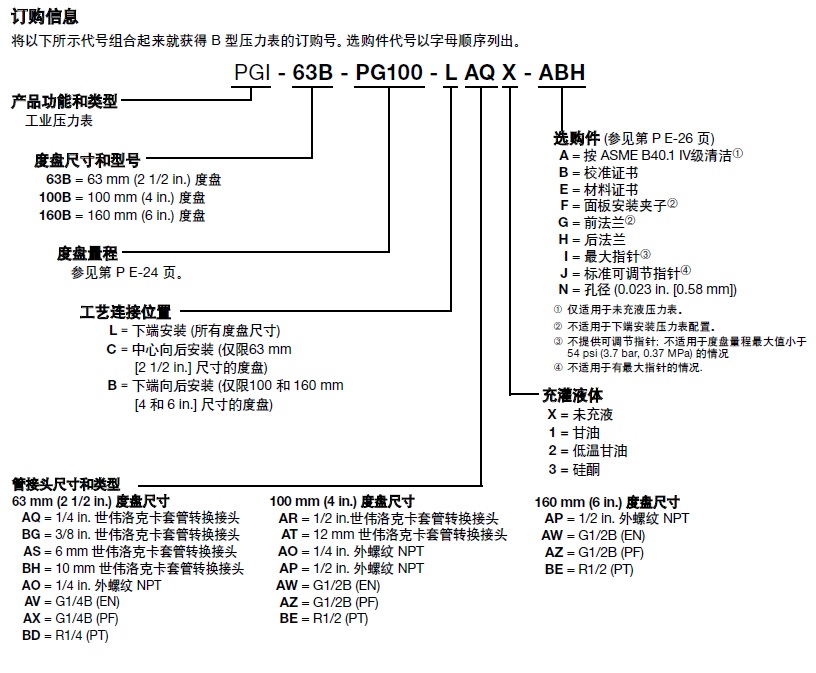 世伟洛克压力表